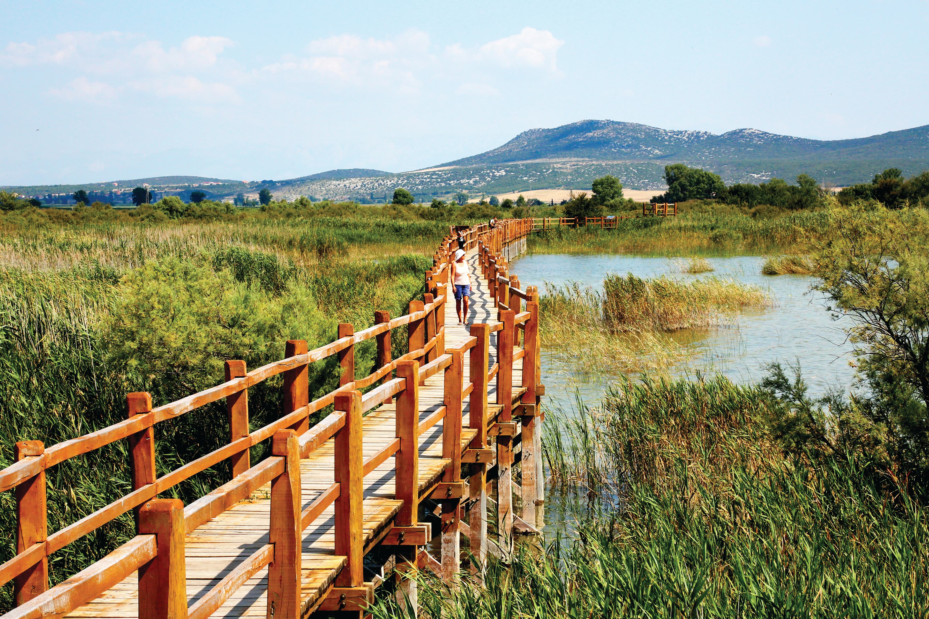 Pine Beach Pakoštane – Crkvine – Vrana – Biograd na Moru